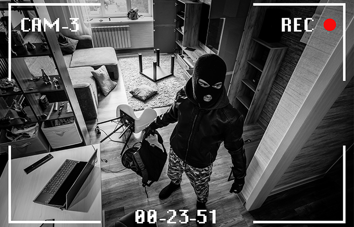 Burglar inside house - Img 3